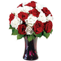 Dazzling White N Red Roses arranged in Glass Vase
Dazzling White N Red Roses arranged in Glass Vase