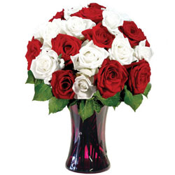 Dazzling White N Red Roses arranged in Glass Vase
Dazzling White N Red Roses arranged in Glass Vase