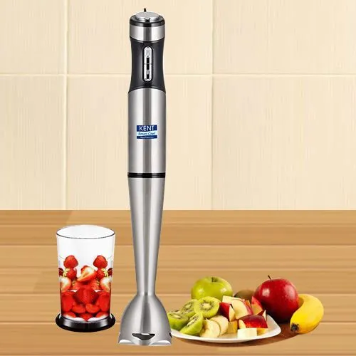 Amazing KENT Stainless Steel Hand Blender Amazing KENT Stainless Steel Hand Blender