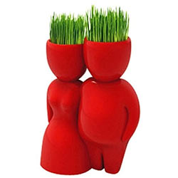 Lovely Red Lover Company Grass Hair Man Plant (Red) Lovely Red Lover Company Grass Hair Man Plant (Red)