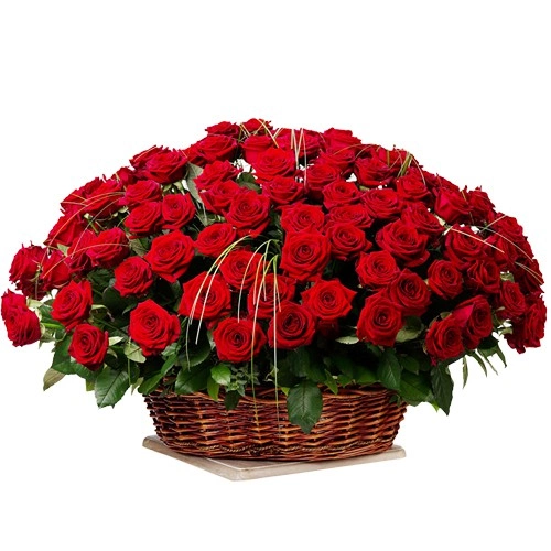 101/201/501/1001 Dutch Red Roses Arrangement