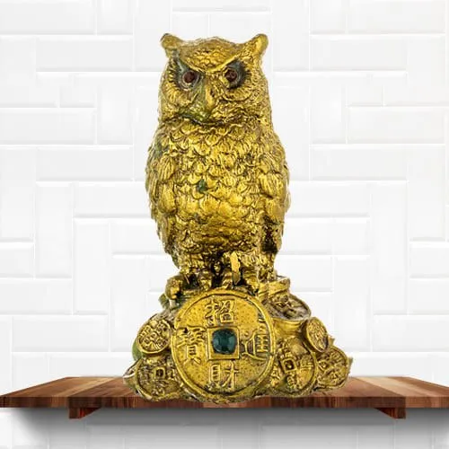 Feng Shui Owl Showpiece for Money n Wisdom Feng Shui Owl Showpiece for Money n Wisdom
