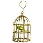 Golden Plated Stylish Bird Cage with Colorful Parrot Golden Plated Stylish Bird Cage with Colorful Parrot
