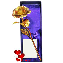 Special Love Golden Rose Stick Special Love Golden Rose Stick