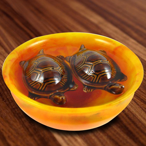 Fengshui Bowl with Tortoise Fengshui Bowl with Tortoise