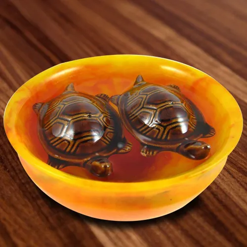 Send Fengshui Bowl with  Tortoise