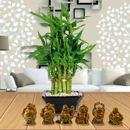 Shop for Two Tier Bamboo Plant with Laughing Buddha Set