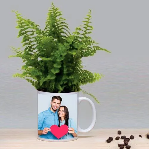 Leafy Bostern Fern Plant in Coffee Mug