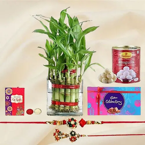 Gorgeous 2 Tier Bamboo Plant for Bhaiya Bhabhai
