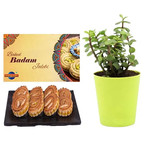 Remarkable Combo of Baked Badam Jalebi from Ganguram N Jade Plant