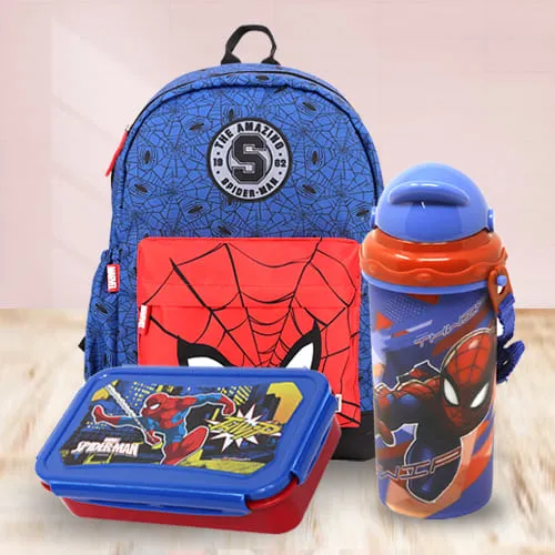 Impressive Marvel Avenger Spiderman Back to School Mini Combo
