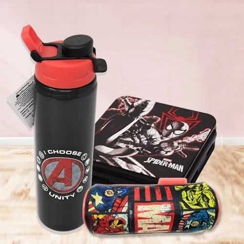 Amazing Marvel Avengers Gift Combo for Kids