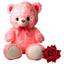Gift this Big Teddy Bear to your loved ones. (30 i...