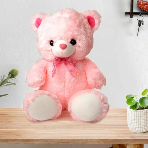 Order Amazing Big Teddy Bear