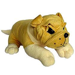 Cute Small Bull Dog (12 inches) Cute Small Bull Dog (12 inches)