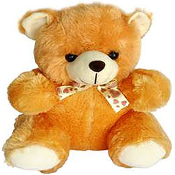 Soft and Cute Master Teddy Bear (12 inches) Soft and Cute Master Teddy Bear (12 inches)