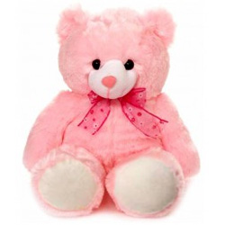 Soft Teddy for Birthday Gift Soft Teddy for Birthday Gift