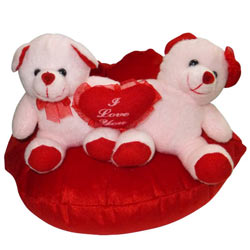 Pretty Couple Teddy in a Lip with Amazing Display Pretty Couple Teddy in a Lip with Amazing Display
