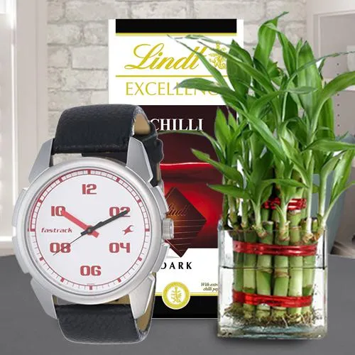 Splendid Bamboo Plant with Fastrack Watch N Lindt Chocolate Splendid Bamboo Plant with Fastrack Watch N Lindt Chocolate