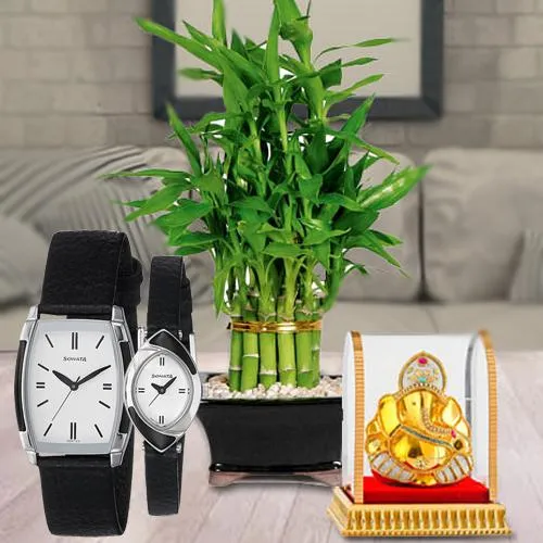 Lucky Bamboo Plant, Sonata Analog Watch N Vignesh Ganesh Lucky Bamboo Plant, Sonata Analog Watch N Vignesh Ganesh