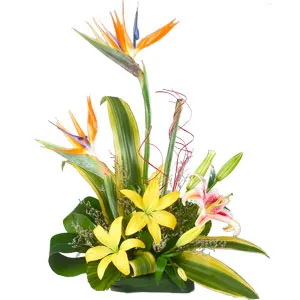 Impressive Heartiest Touch Arrangement of Lilies and Birds of Paradise