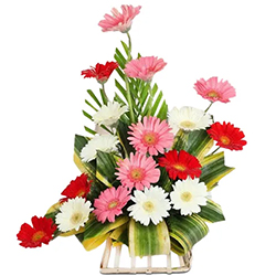 Dazzling Arrangement of Seven Gerberas Dazzling Arrangement of Seven Gerberas
